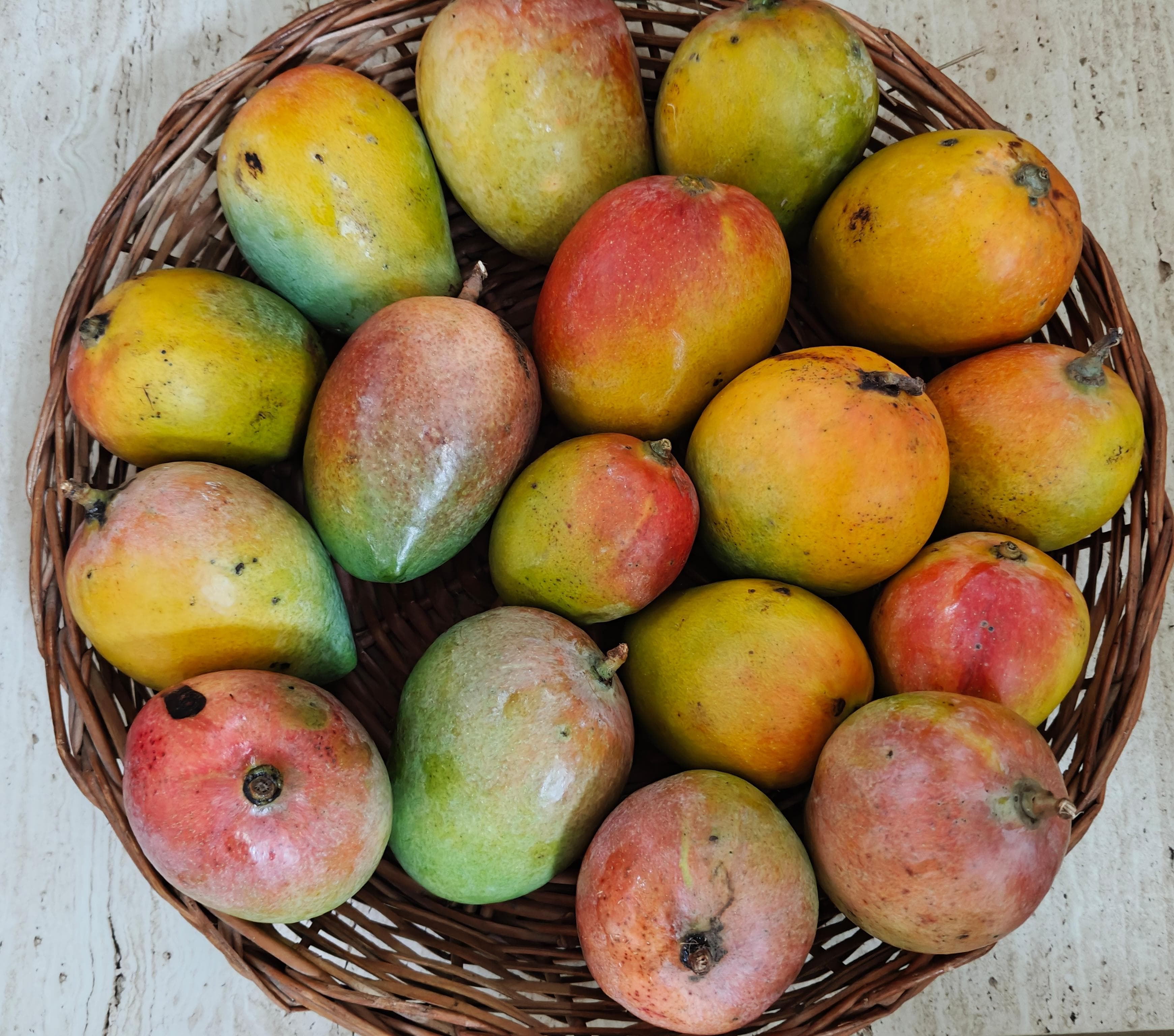 Seasonal Mangoes